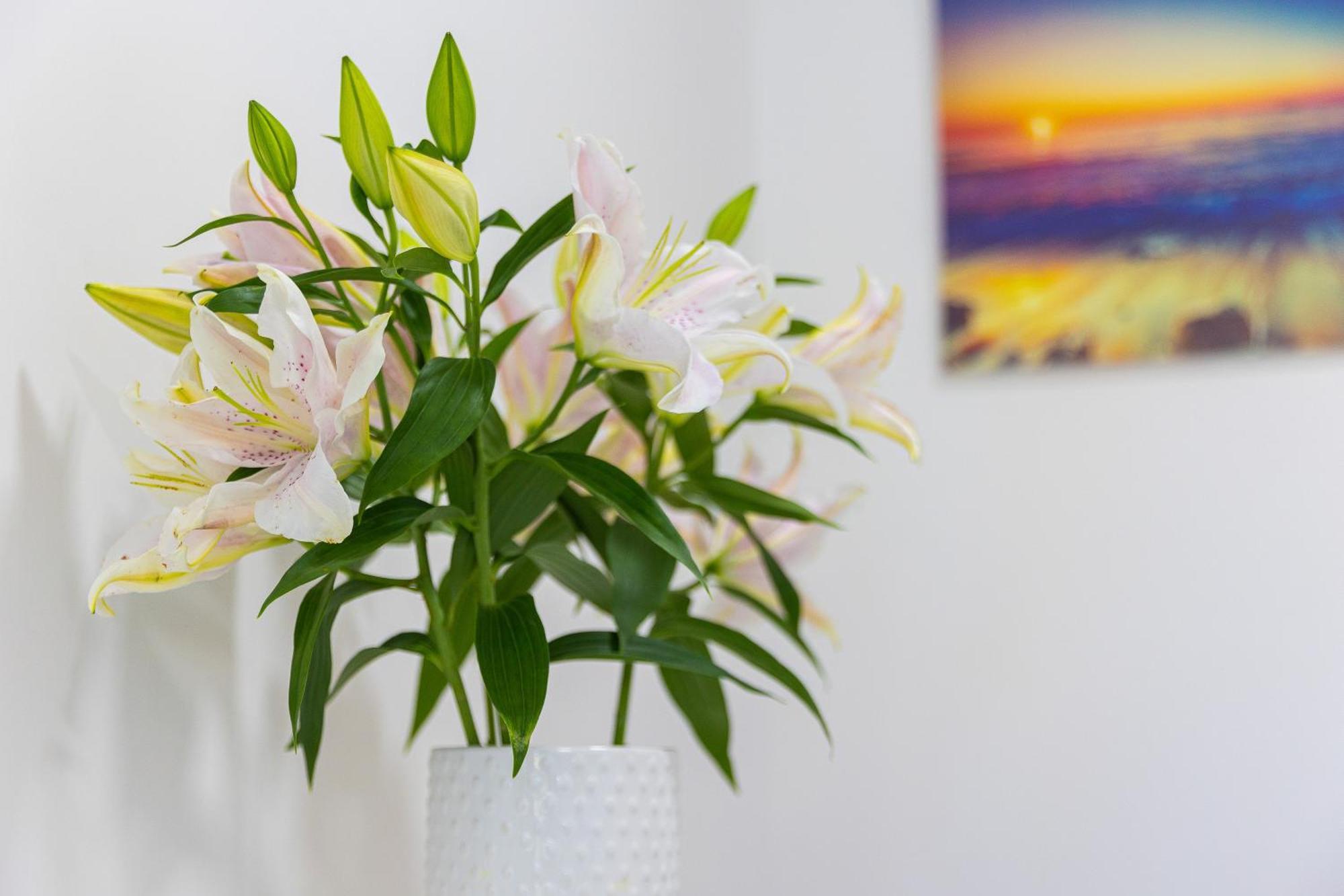 Apartments Lustica Radovici Phòng bức ảnh